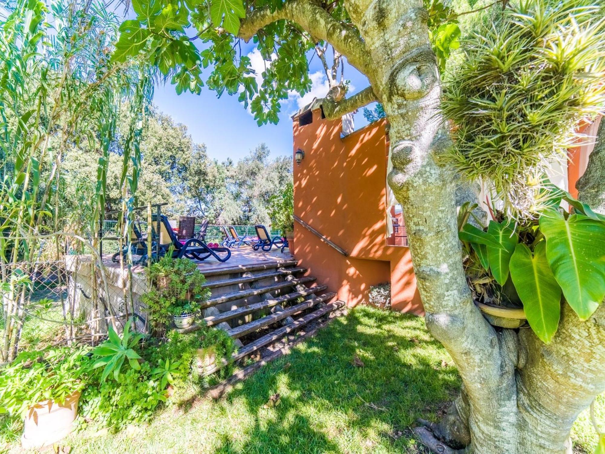 Finca In Mallorca With Private Pool بوغر المظهر الخارجي الصورة